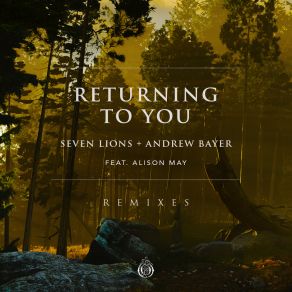Download track Returning To You (Sultan + Shepard Remix) Alison MaySultan, Sultan Shepard
