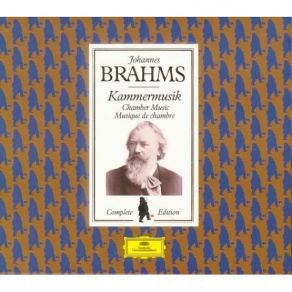 Download track 6. Scherzo. Allegro Johannes Brahms
