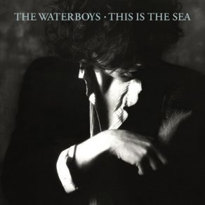 Download track This Is The Sea The Waterboys