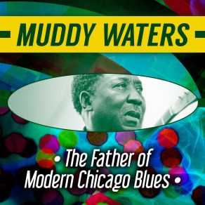 Download track You're Gonna Need My Help I Said Muddy Waters