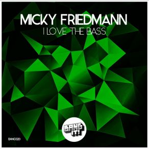 Download track I Love The Bass (Radio Edit) Micky Friedmann