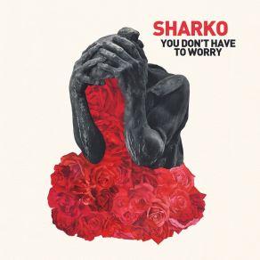 Download track You Don't Have To Worry Sharko