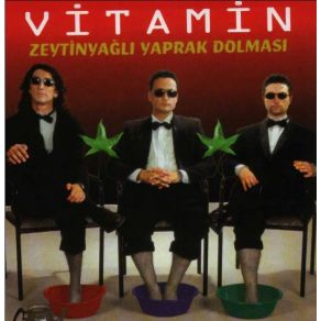Download track Zeytinyağlı Yaprak Dolması Grup Vitamin