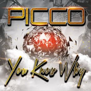 Download track You Know Why (Original Mix) Picco