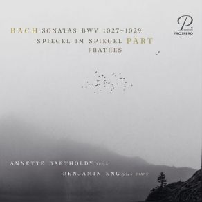 Download track 03. Sonata For Viola Da Gamba In G Major, BWV 1027 III. Andante Johann Sebastian Bach