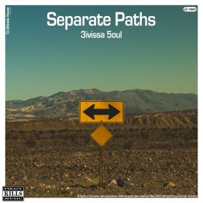 Download track Separate Paths (Extended Mix) 3ivissa 5oul
