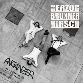 Download track Die Erinnerung Herzog - Brunner - Hirsch