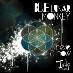Download track Metta Blue Lunar Monkey