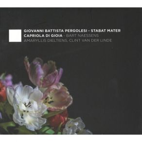 Download track 6. Stabat Mater P. 77: VI. Vidit Suum Dulcem Natum Aria Soprano A Tempo Giusto Giovanni Battista Pergolesi