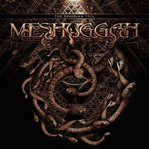Download track The Hurt That Finds You First Meshuggah