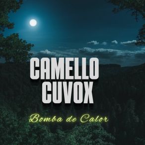 Download track Sol Y Sombra CAMELLO CUVOX