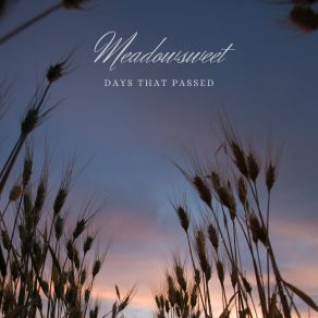 Download track Feeling Peaceful Meadowsweet