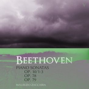 Download track Piano Sonata No. 25 In G Major, Op. 79 