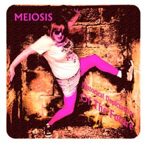 Download track On A Mission Meiosis