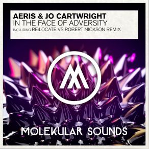Download track In The Face Of Adversity (Original Mix) Aeris, Jo Cartwright