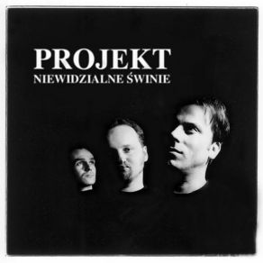 Download track Noc Projekt Niewidzialne Swinie