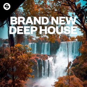 Download track Perfect Brand New, Deep HouseRowald Steyn