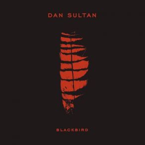 Download track The Same Man Dan Sultan