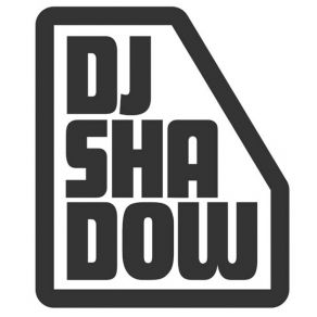 Download track Erase You Dj ShadowChris James