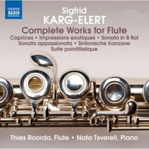 Download track 6.30 Caprices For Solo Flute Op. 107 - No. 3 Allegro Alla Händel Non Troppo Brillante Sigfrid Karg - Elert