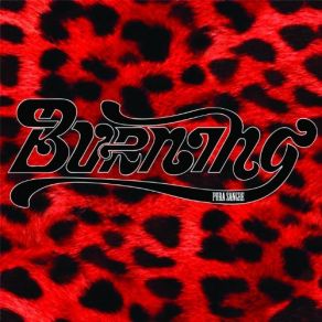 Download track Tu Te Lo Llevas Todo Burning