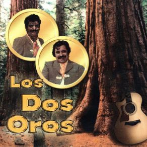 Download track El Huerfanito Los Dos Oros