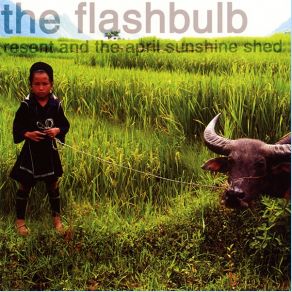 Download track You're Streaming Again The Flashbulb