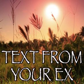 Download track Text From Your Ex - Tribute To Tinie Tempah And Tinashe Billboard