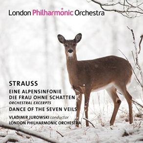 Download track 16. Eine Alpensinfonie, Op. 64, TrV 233 No. 16, Die Sonne Verdüstert Sich Allmählich Richard Strauss