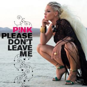 Download track Please Don'T Leave Me (Digital Dog Club Mix) P! Nk