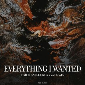 Download track Everything I Wanted Liwia