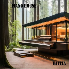 Download track Domestic DJViza