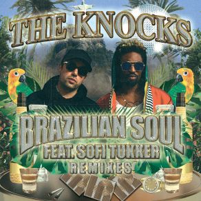 Download track Brazilian Soul Sofi Tukker