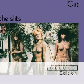 Download track I Heard It Through The Grapevine The Slits