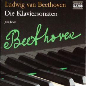 Download track 5. Piano Sonata 19 Op. 49 No. 1 - I. Andante Ludwig Van Beethoven