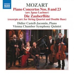 Download track Die Zauberflöte, K. 620 (Excerpts) [Arr. For Strings]: Overture Didier Castell-Jacomin