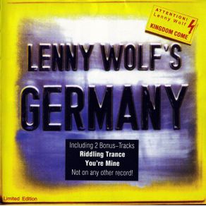 Download track Do You Like It Lenny Wolf