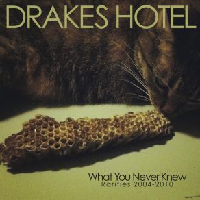 Download track Tell Me Everything Drakes Hotel