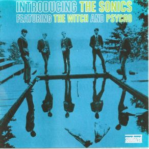 Download track The Witch The Sonics, Gerry Roslie