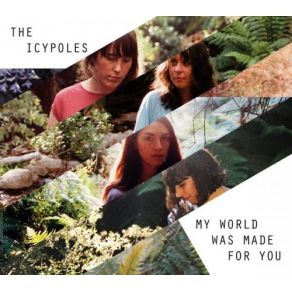 Download track Happy Birthday The Icypoles