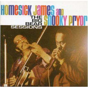 Download track After You There Won'T Be Nobody Else Homesick James, Snooky Pryor