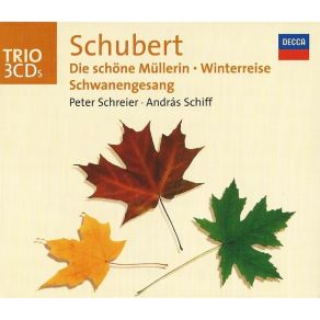 Download track 15. Winterreise D. 911: Nr. 15. Die Krähe Franz Schubert