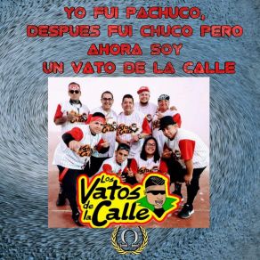Download track Vagabundo Los Vatos De La Calle