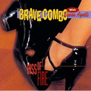 Download track A Way To Say Goodbye Brave Combo