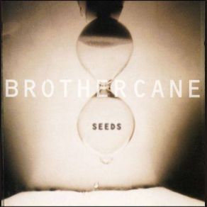 Download track Bad Seeds Brother Cane