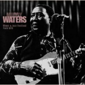 Download track Walkin' Blues Muddy Waters