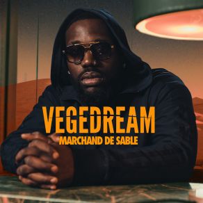 Download track Tout Payer Vegedream