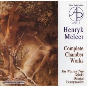 Download track 9. Piano Trio In G Minor Op. 2 - IV. Allegro Con Fuoco Henryk Melcer-Szczawiński