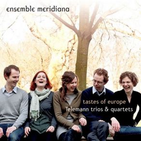 Download track Concerto In A Minor. TWV43: A3 - IV. Vivace Ensemble Meridiana