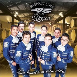 Download track Un Siglo Sin Ti Mariachi Así Es México